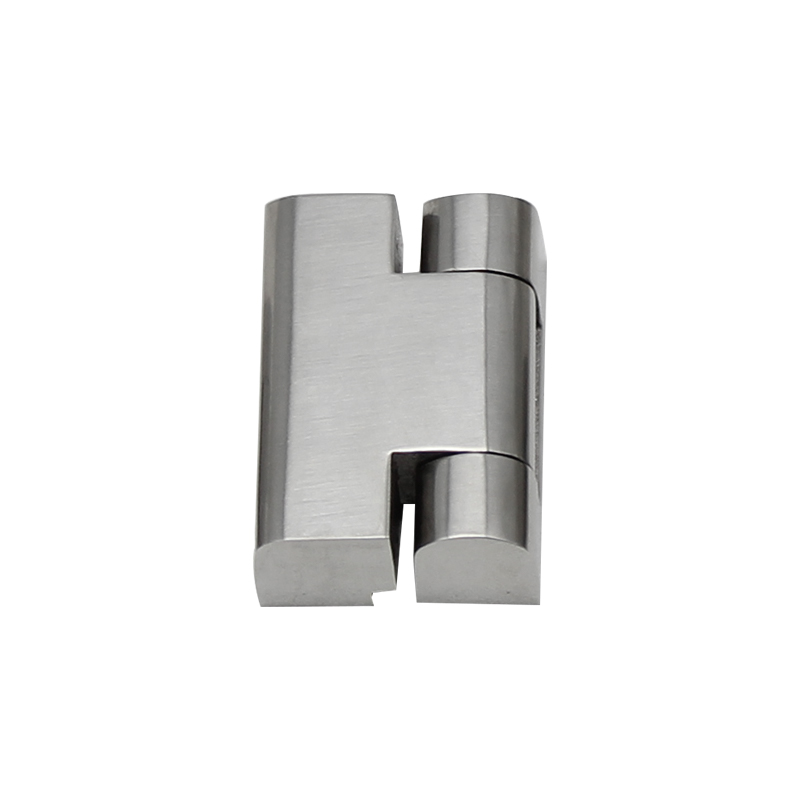 CL219-2S 54g 100lot ব্রাশ করা পালিশ স্টেইনলেস স্টিলের পিনের সাথে কব্জা
