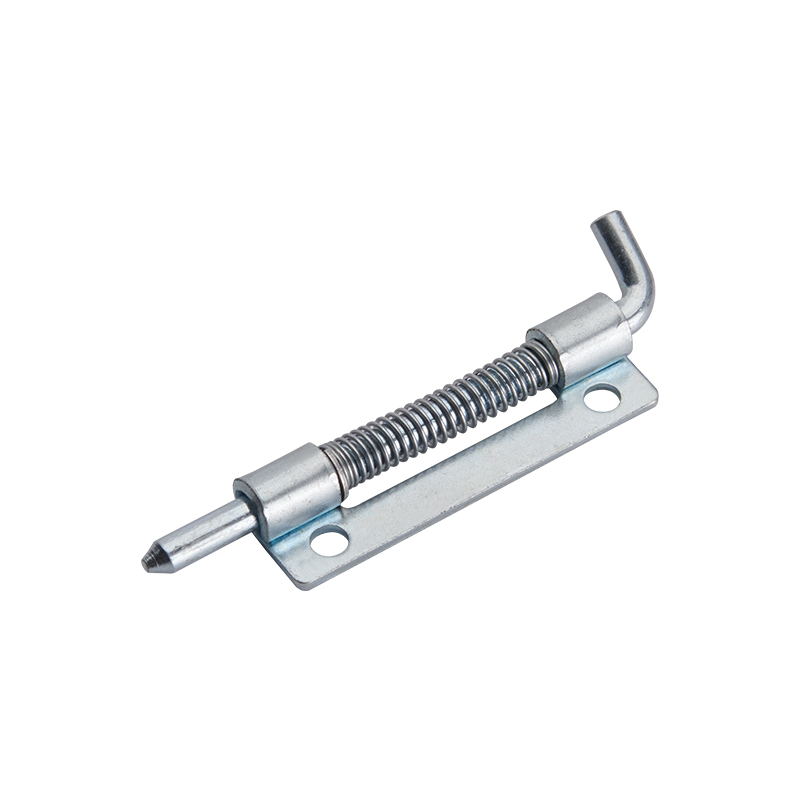 CL225-3S 430N সর্বোচ্চ স্ট্যাটিক লোড পালিশ প্রকৃতির স্টেইনলেস স্টীল কব্জা
